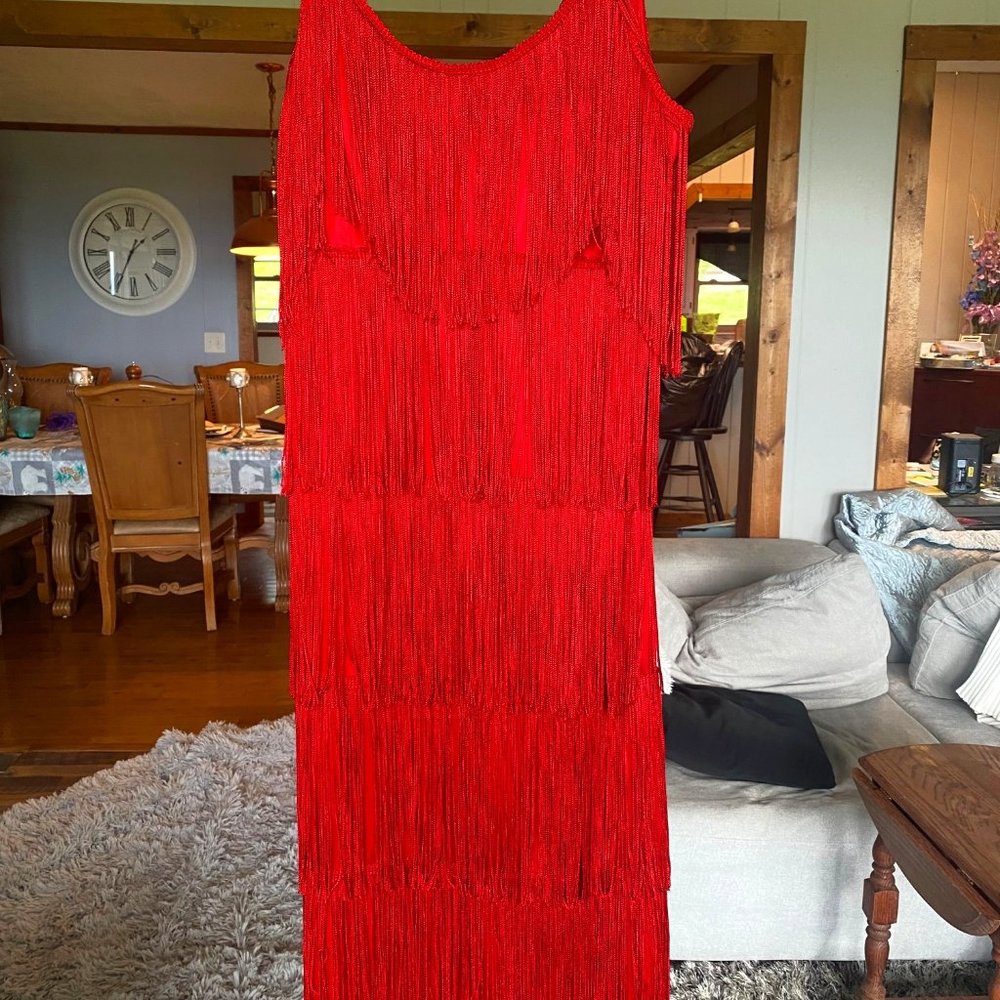 Vintage Red Fringe Dress